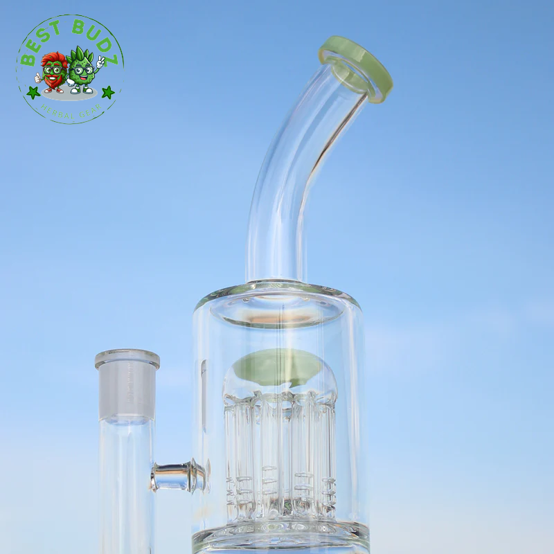 10.6" Glass Water Pipe W/ Dual Arm Percolators